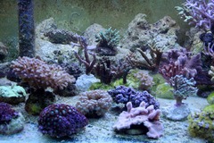 Killikus&reg; Fotographie